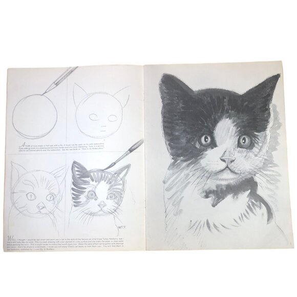 How To Draw Cats By Walter Foster Art Instruction Book Vintage 1950s - Picture 5 of 7